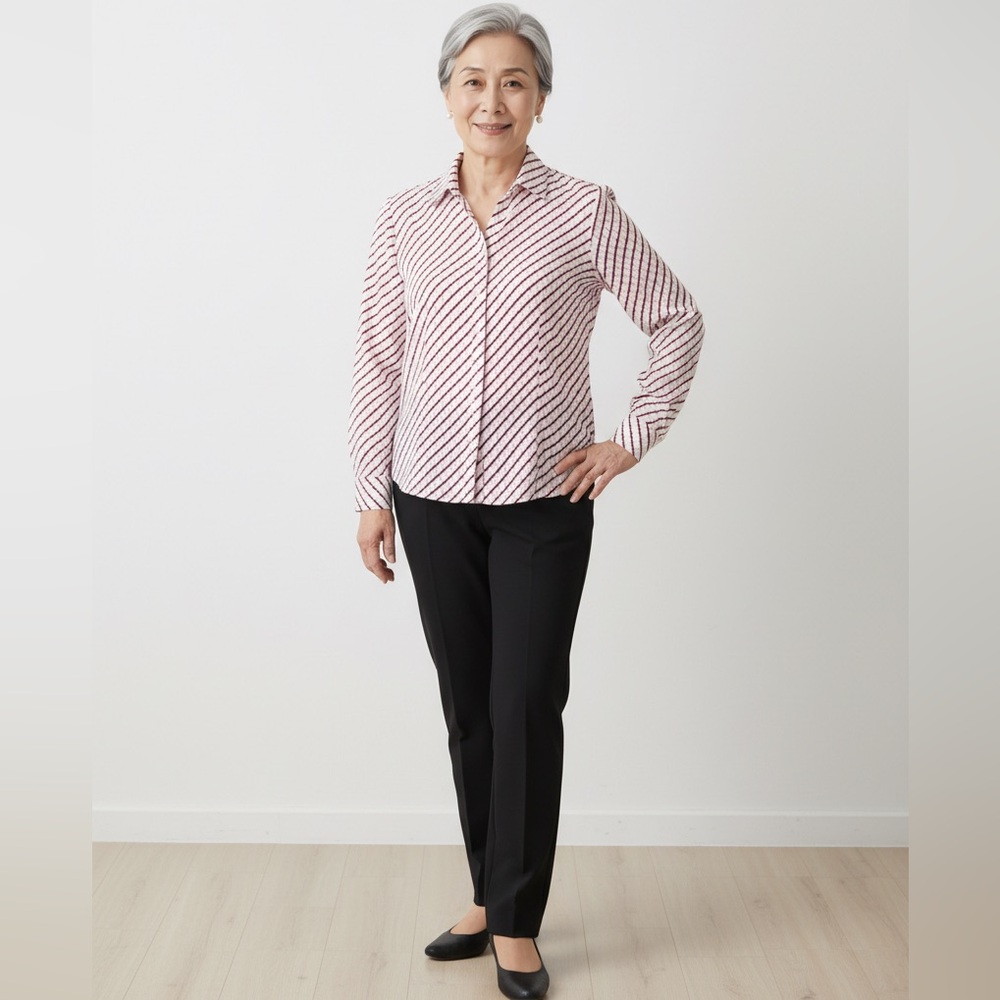 Talbots wrinkle free long sleeve blouse .         Size:  10
